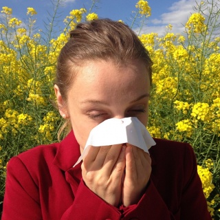 Heuschnupfen oder Erkältung - Symptome richtig erkennen