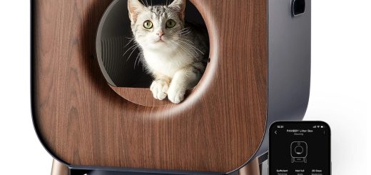Das Pawbby Katzenklo reinigt sich selbstständig - Produktvorstellung